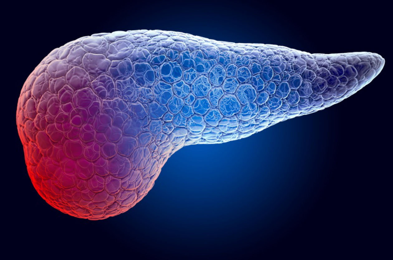 stomach